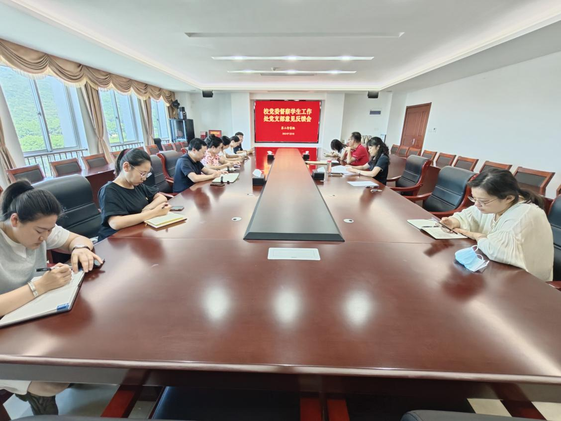 开云手机客户端党委督察组向学生工作处党支部反馈督察情况