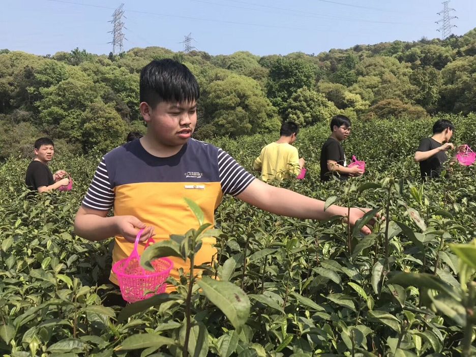 1555569195104078738.jpg 劳动实践活动1.jpg